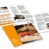 SEED Institute Deakin Bachelor of Early Childhood Education Course Brochure